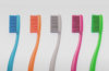 repaq-clients-biobrush2 repaq-clients-biobrush2