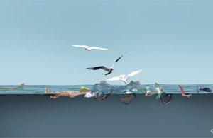Detailzeichnung aus der AWI-Infografik: Wie gelangt der Müll ins Meer