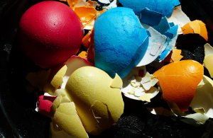 eggshell-100179_1920