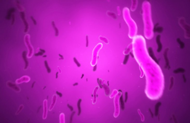 bacteria-produce-bioplastics
