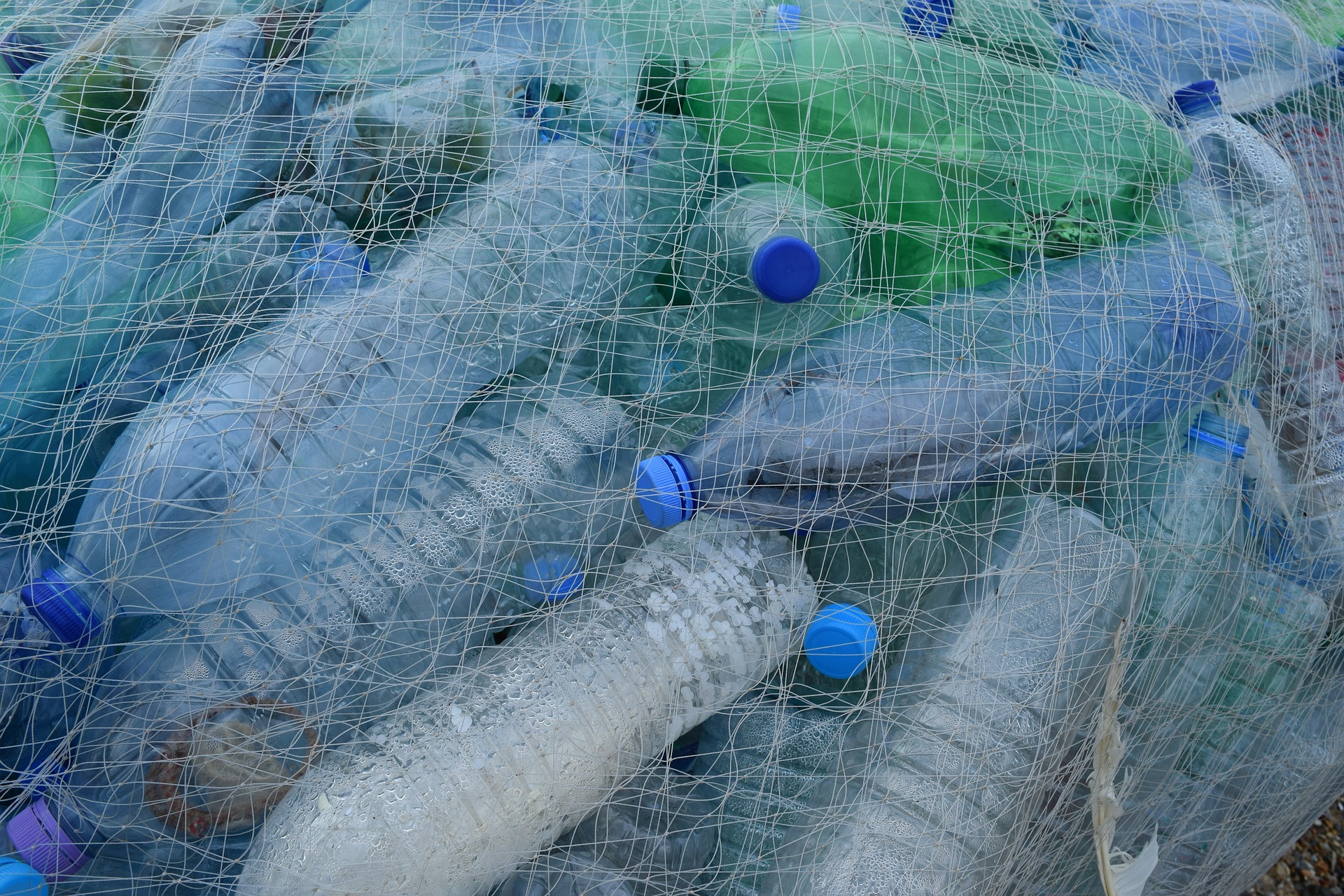 plastic-bottles-388679_1920