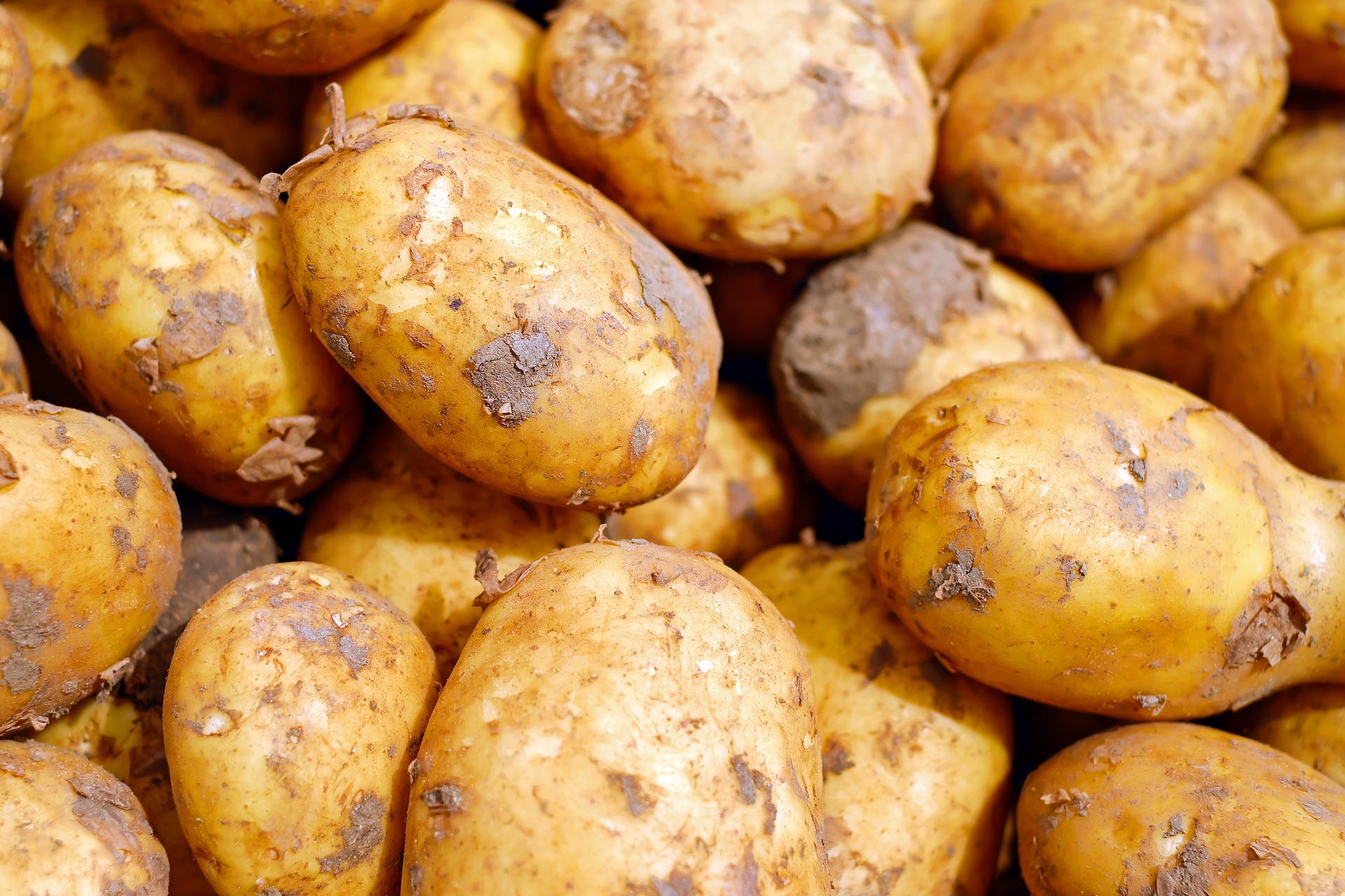 potatoes-2329648_1920