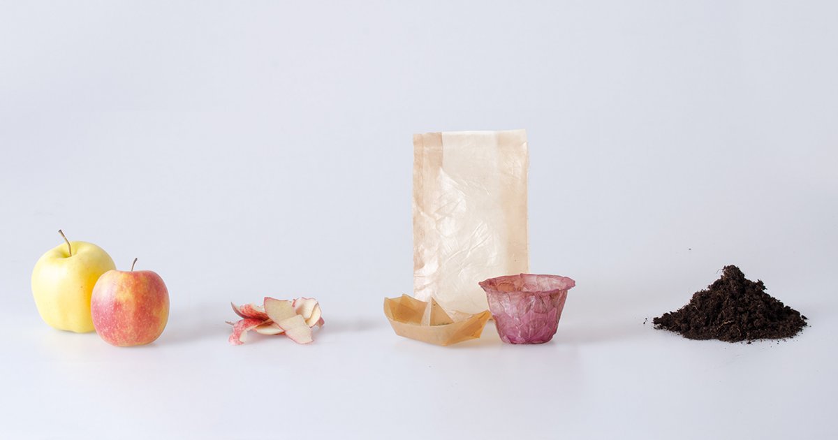 INNOVATION Ecofriendly food packaging from fermented bacteria and yeast.