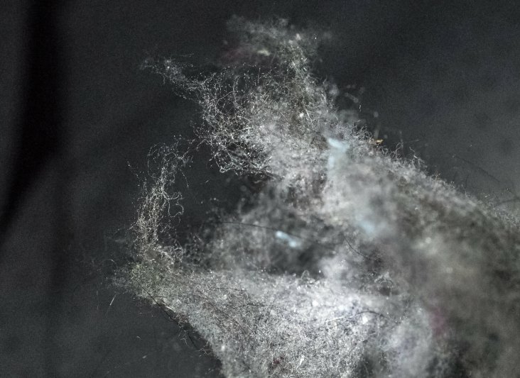 1-tinyfiberscr