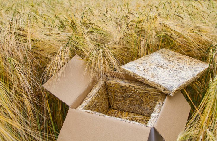 kann-nach-gebrauch-als