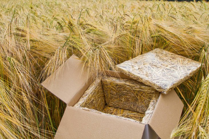 kann-nach-gebrauch-als