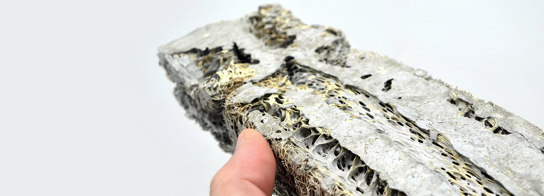 bio-bricks2