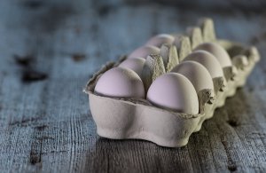 eggs-3183410_1920