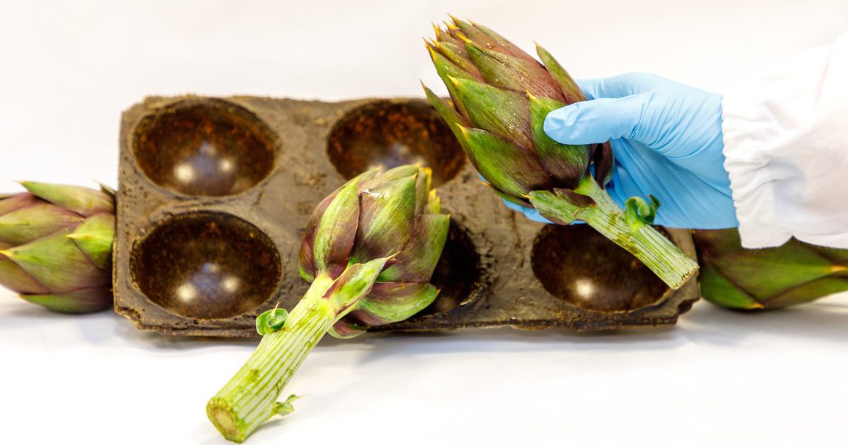 MATERIAL DEVELOPMENT Turning agro waste into bioplastics.