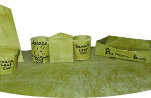 Bananaleaf-Technology-products-889x384