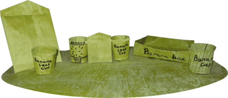 Bananaleaf-Technology-products-889x384