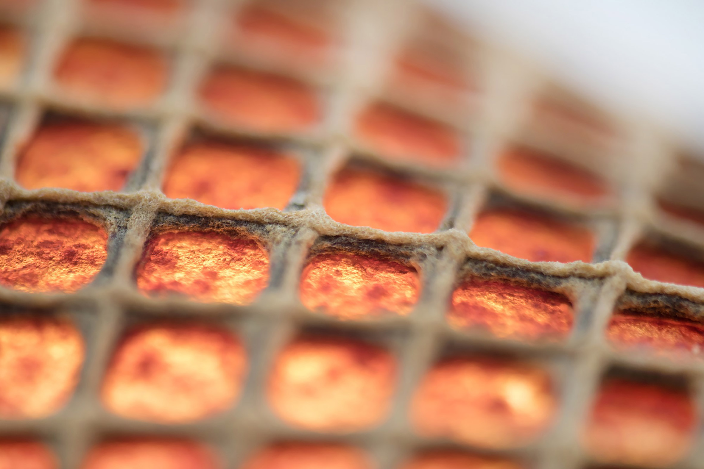 aguahoja-i-biocomposite-pavilion-mediated-matter-group-mit-media-lab_dezeen_2364_col_12