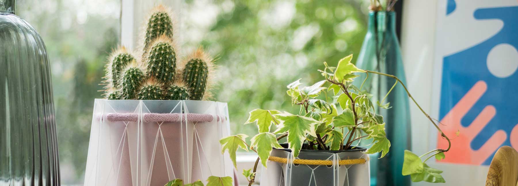flatpack-origami-potr-plant-pots-are-eco-friendly-water-themselves-designboom-1800