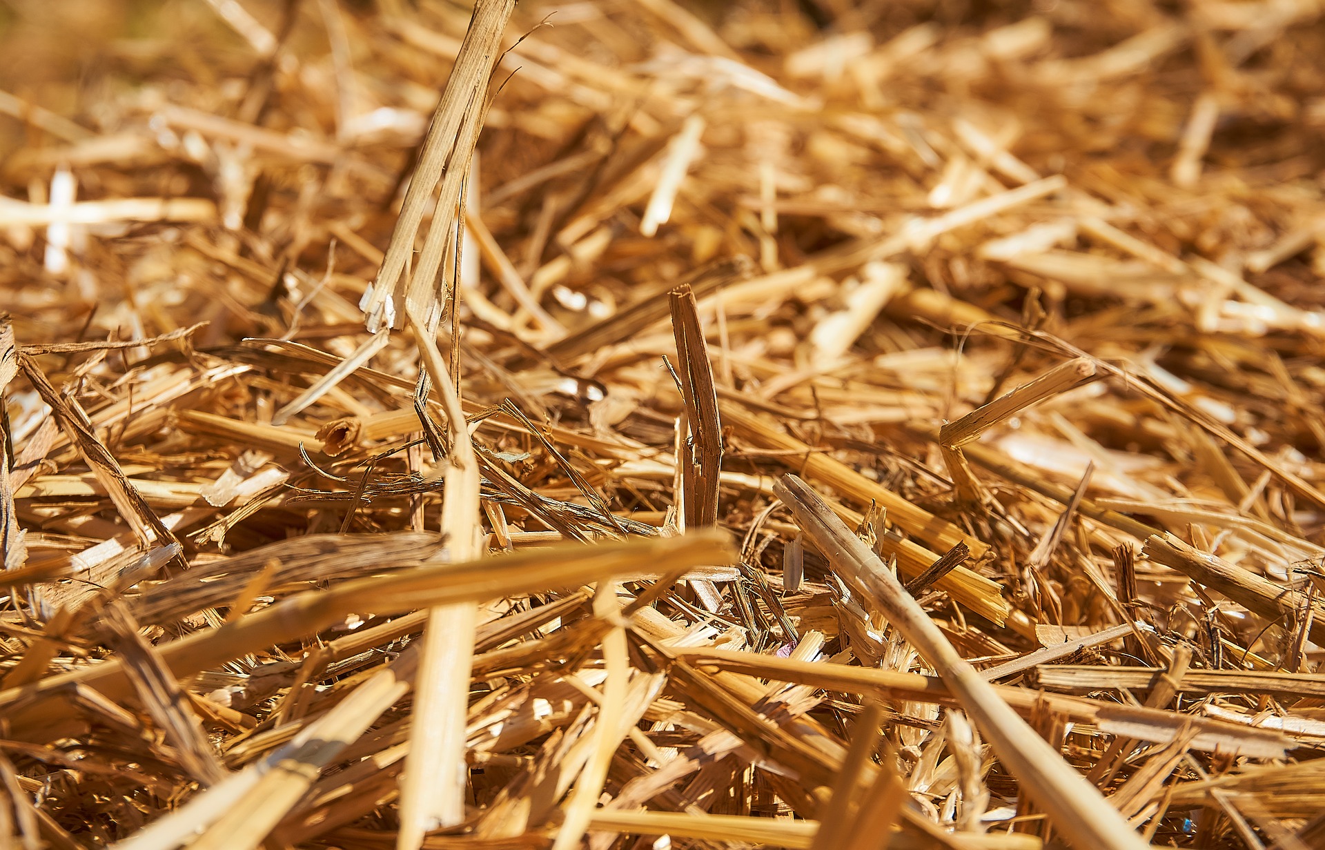 straw-3362771_1920