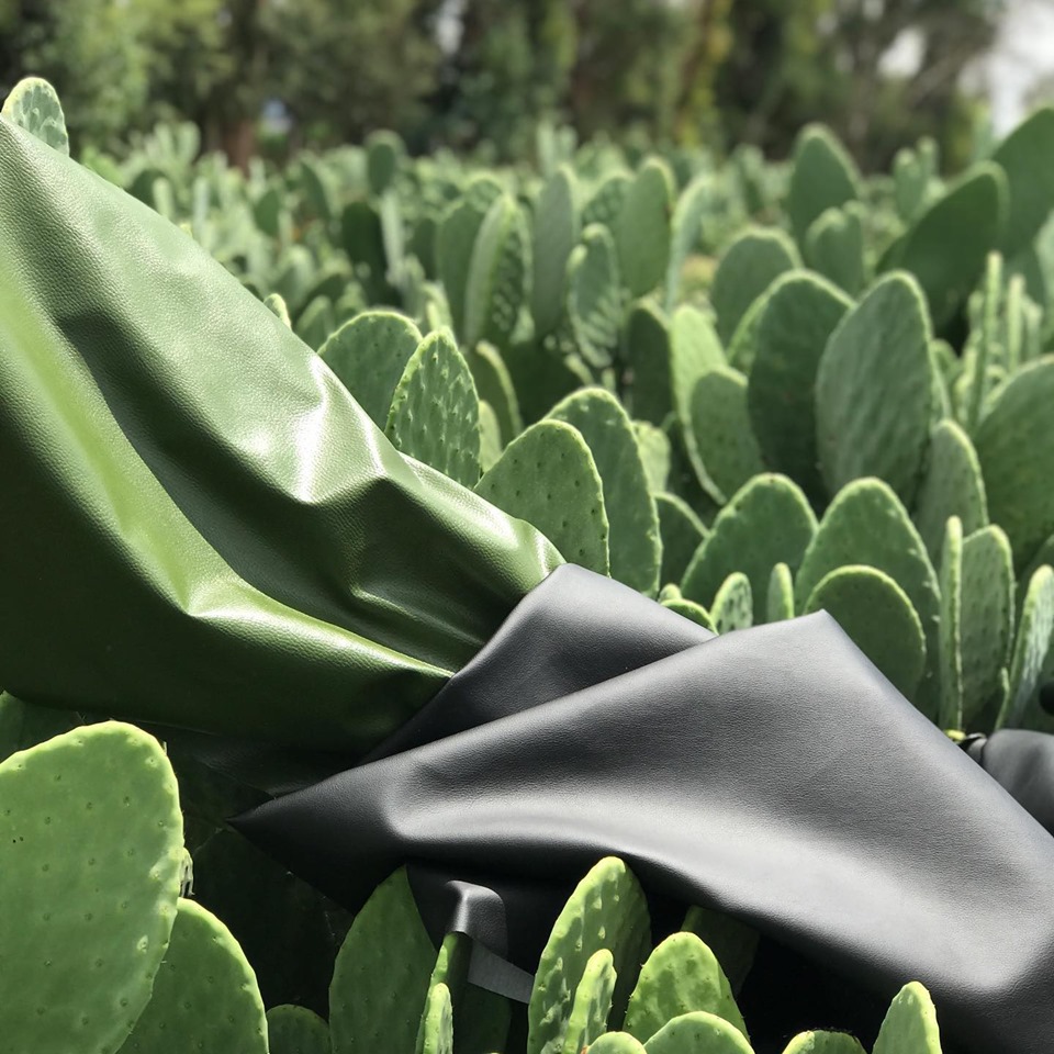INNOVATION Vegan leather made from cacti.