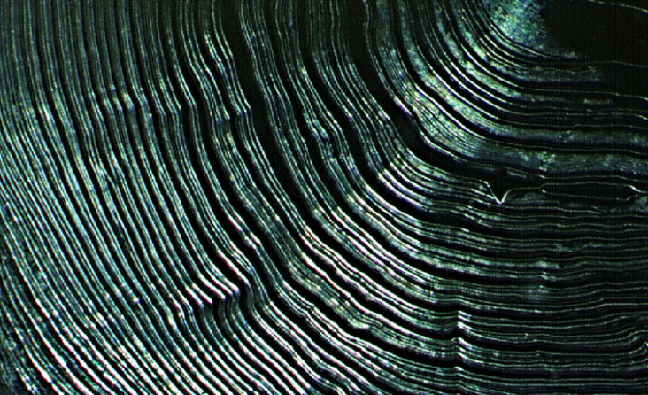 Screen Shot 2020-03-14 at 11.52.31