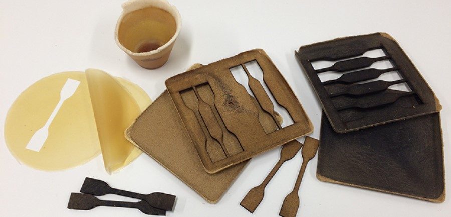 food-waste-bioplastic-material-1-900x434