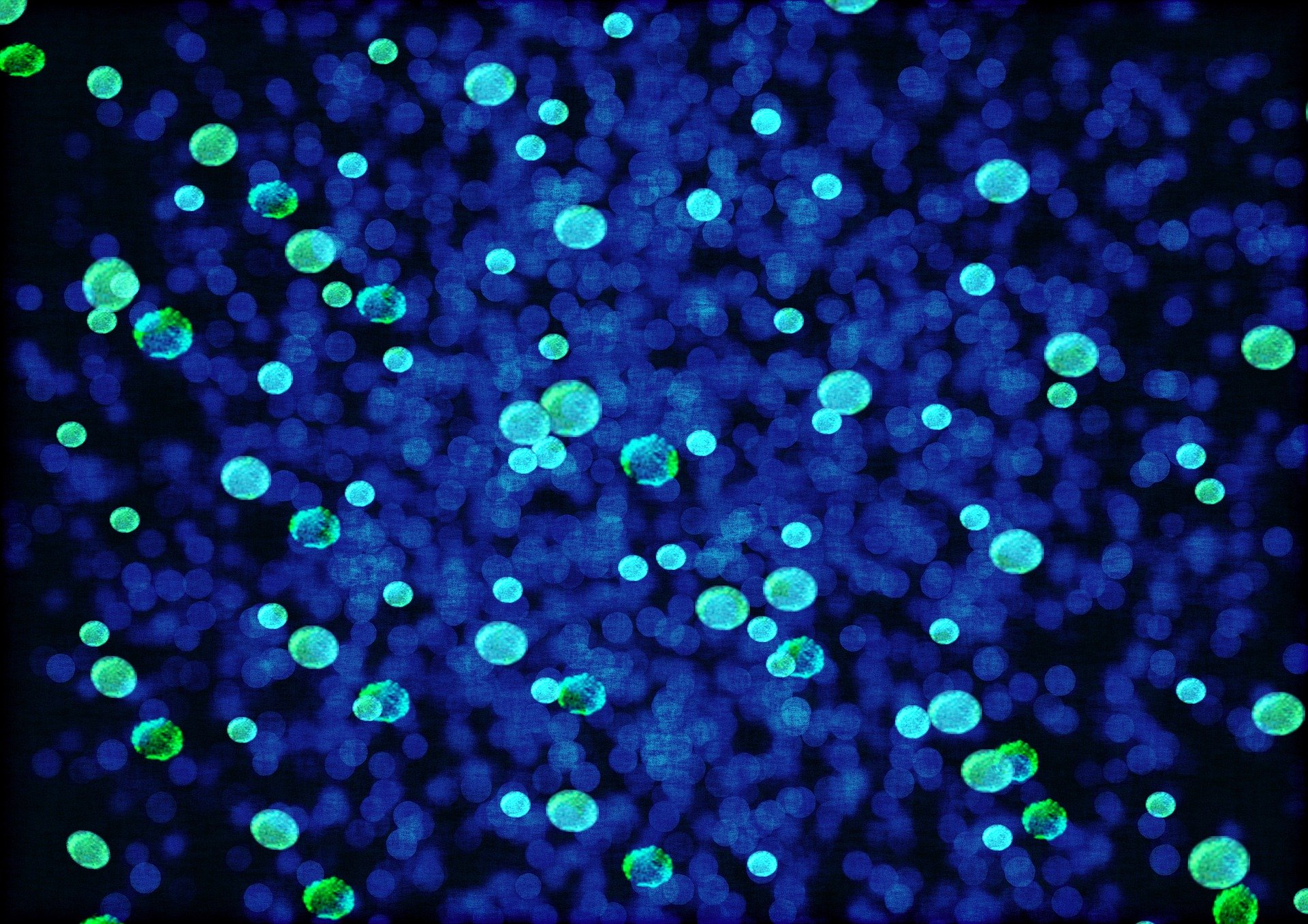 bacteria-808751_1920