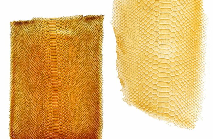 tomtex-biomaterial-uyen-tran_dezeen_2364_col_1-852x551
