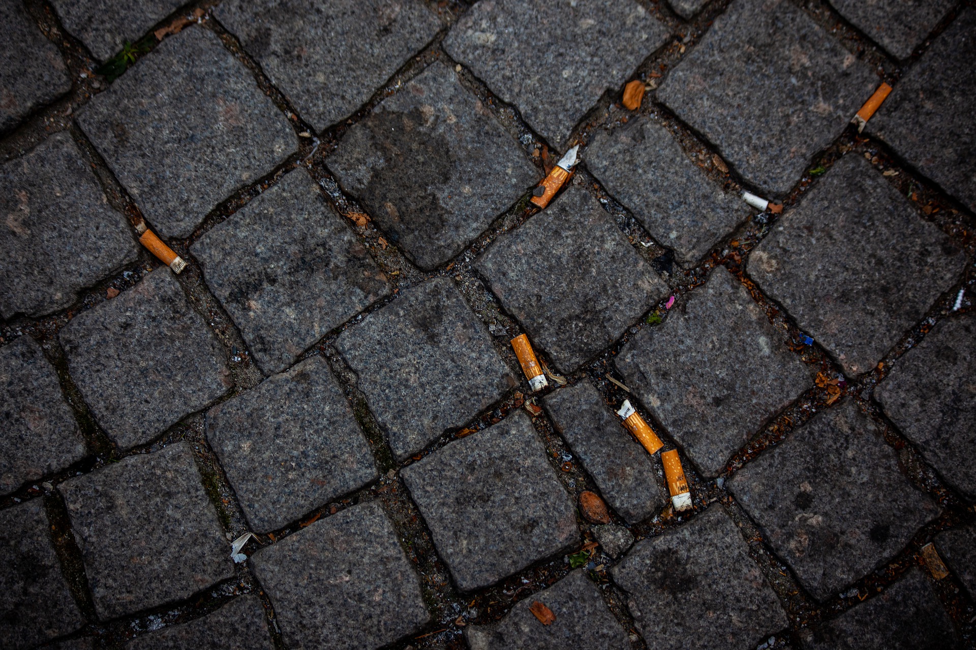 street-4752346_1920