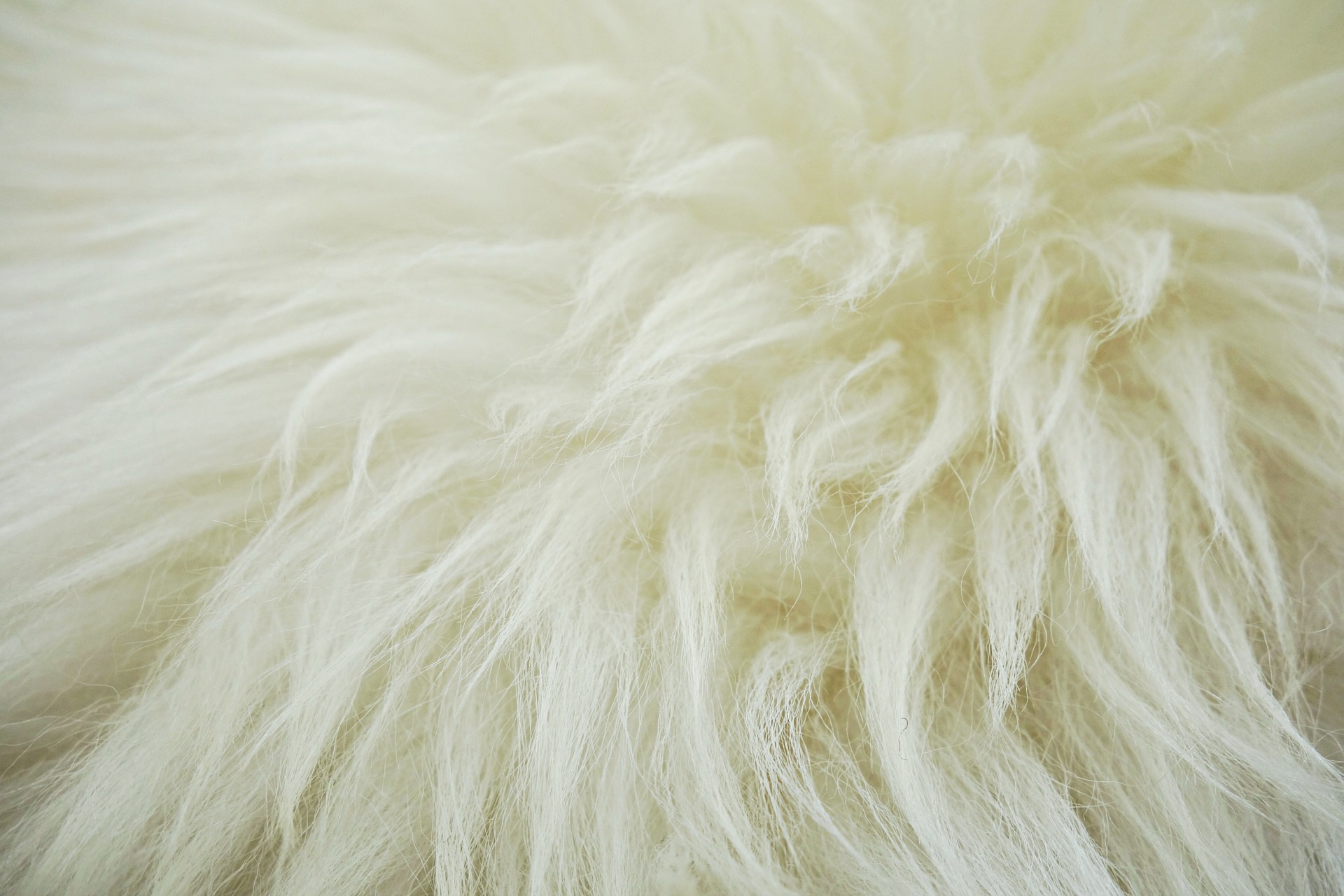fleece-1524448_1920