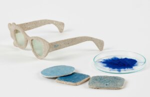 Bacteria-Sunglasses-by-Cinzia-Ferrari-Cover