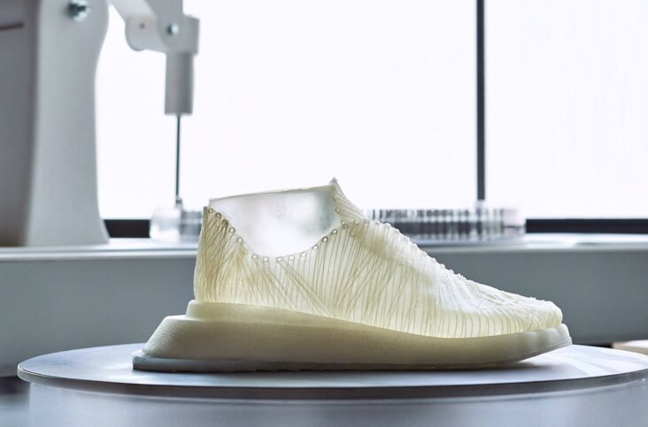shoe