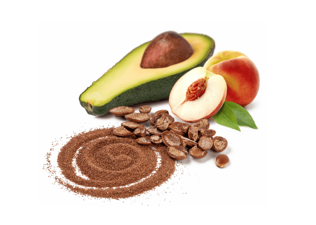 BIOPOWDER: Renewable Additives Made From Upcycled Fruit Stones.